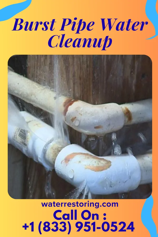 Burst Pipe Water Cleanup in Houserville, PA