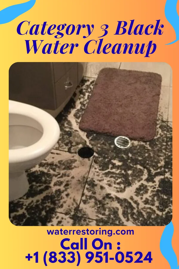 Category 3 Black Water Cleanup in Houserville, PA