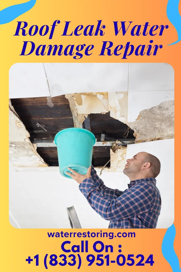 Roof Leak Water Damage Repair in Houserville, PA