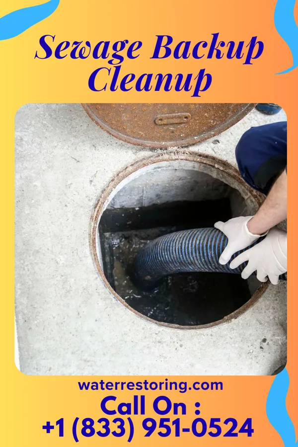 Sewage Backup Cleanup in Houserville, PA