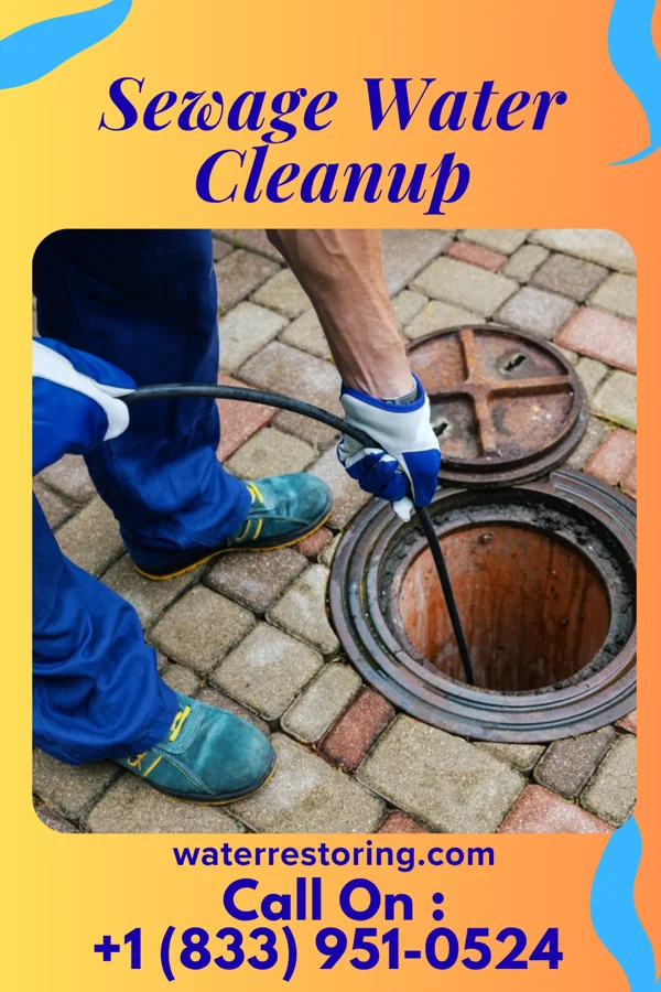 Sewage Water Cleanup in Houserville, PA