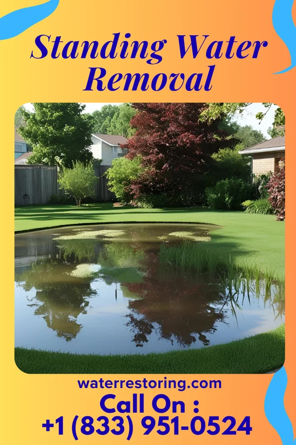 Standing Water Removal in Houserville, PA